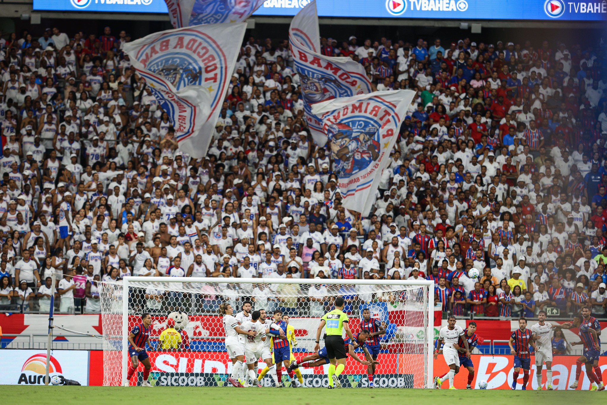 imagem