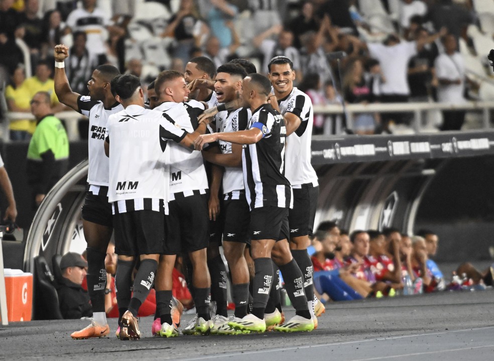 Palmeiras busca virada histórica contra o líder Botafogo em jogo de sete  gols - Placar - O futebol sem barreiras para você