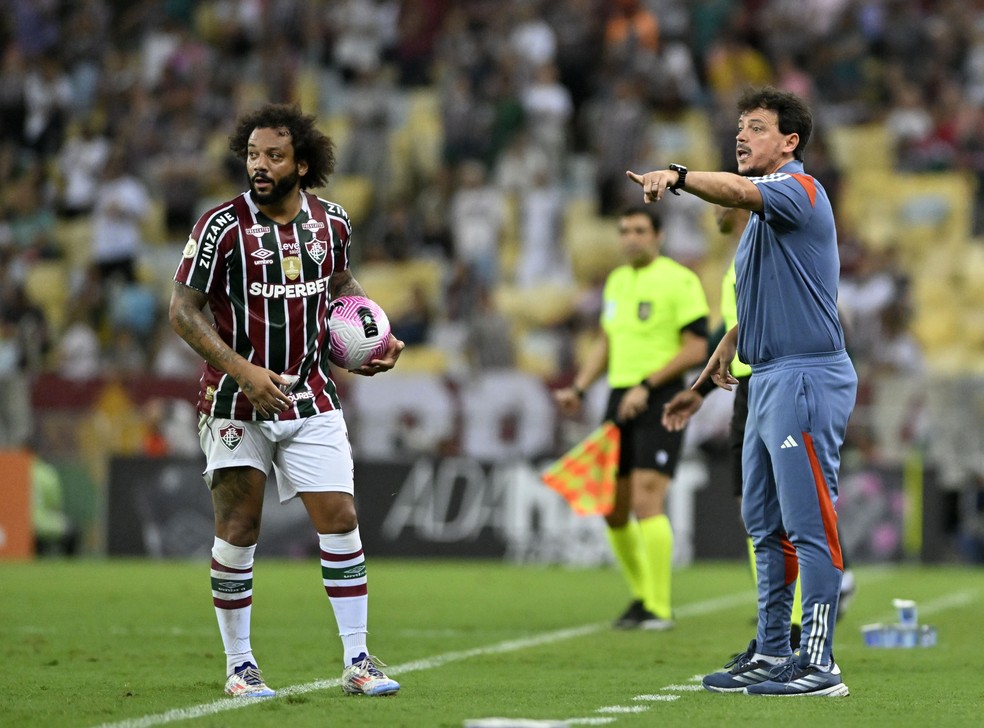 Marcelo e Diniz em Fluminense x Cruzeiro — Foto: André Durão