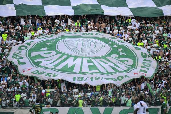 Palmeiras Atinge Marca de 600 Mil Contas na Plataforma Digital