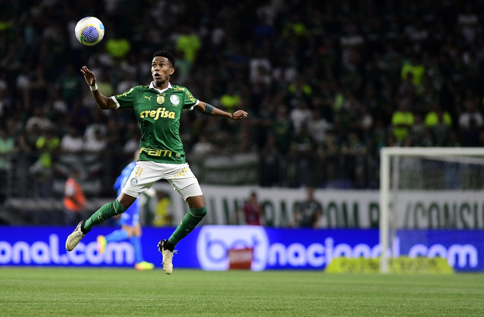 Palmeiras x Botafogo-SP, Est�v�o � Foto: Marcos Ribolli