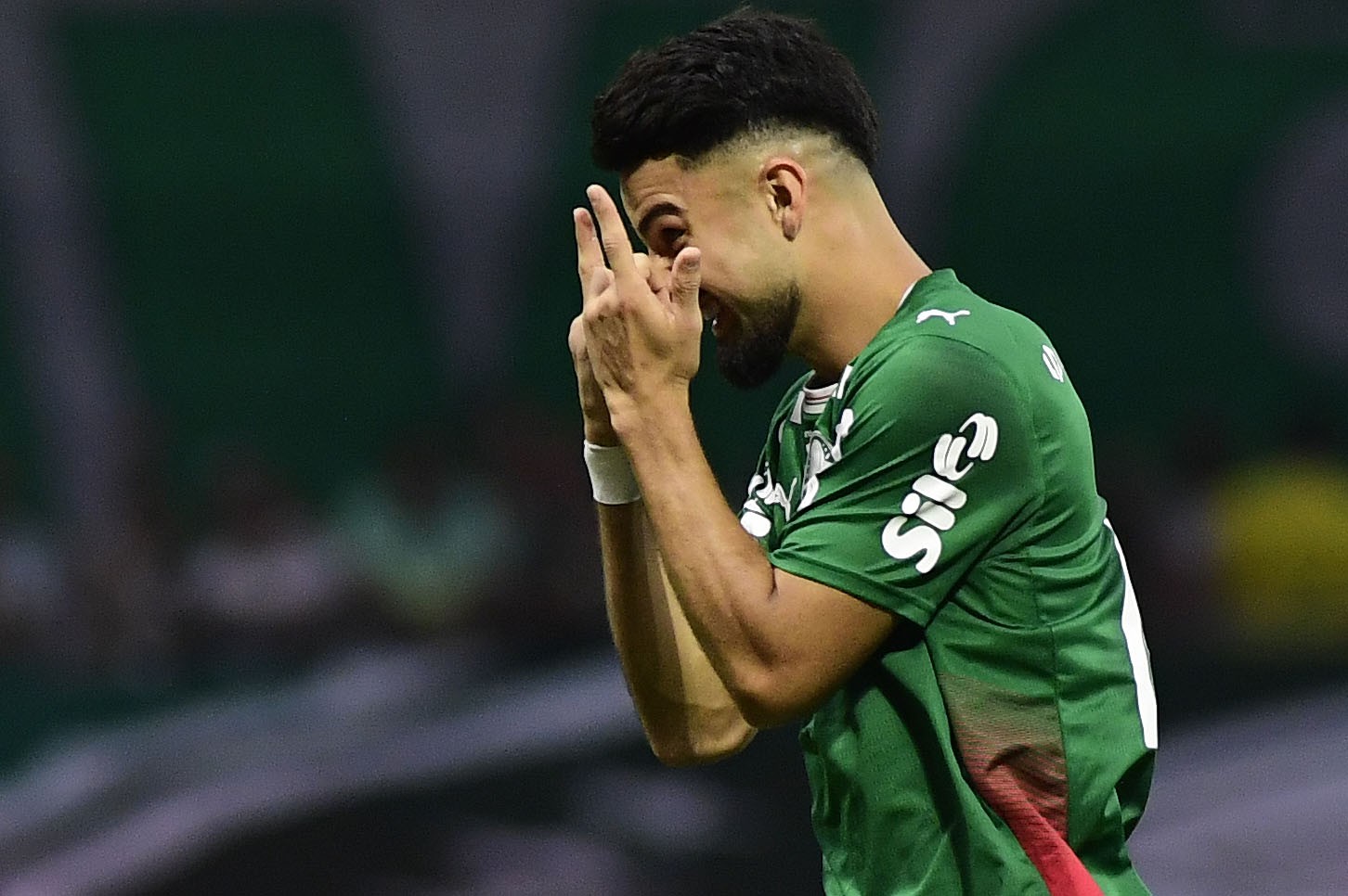 Palmeiras Consolidado: Vantagem no Campeonato Permite Gestão Inteligente do Elenco, mas Atenção é Essencial