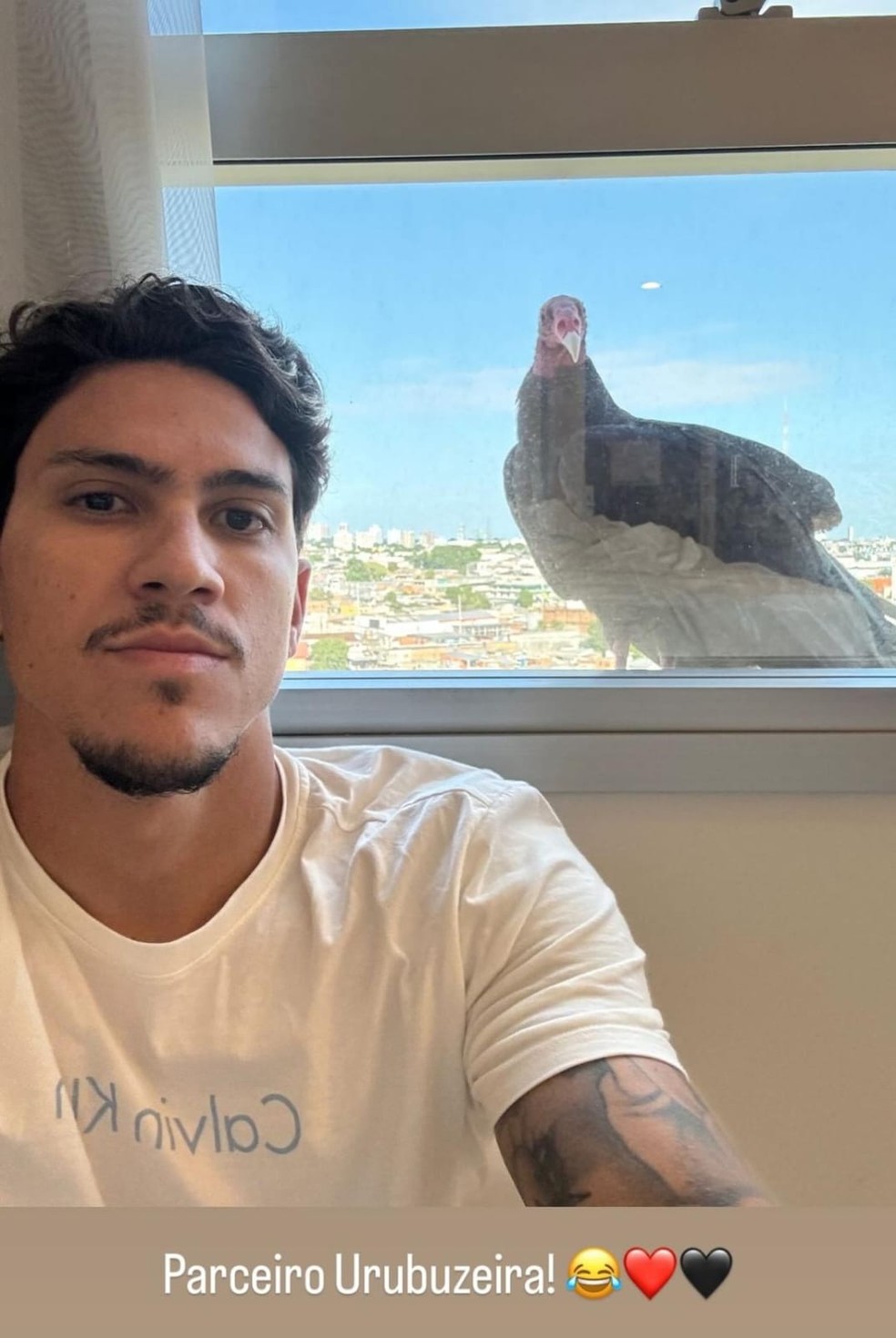 Pedro foi acordado por urubu na janela do hotel em Manaus no dia da estreia do Fla em 2024 — Foto: Reprodução