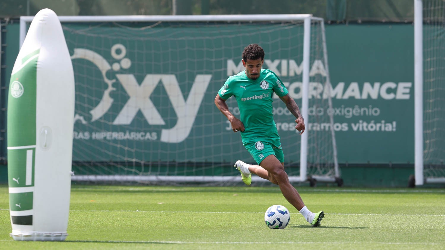 Evangelista destaca espírito de sacrifício do Palmeiras na Libertadores