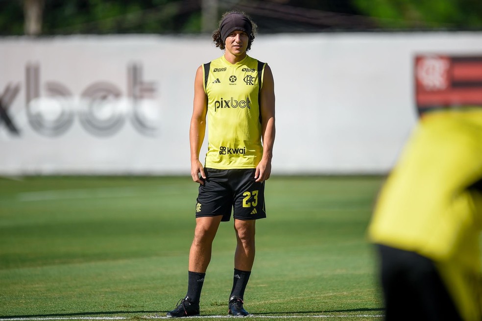 David Luiz será titular contra o Vasco — Foto: Marcelo Cortes/Flamengo