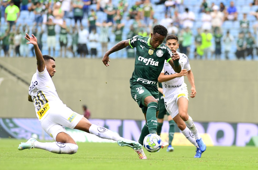 Kevin em Palmeiras x Santos — Foto: Marcos Ribolli