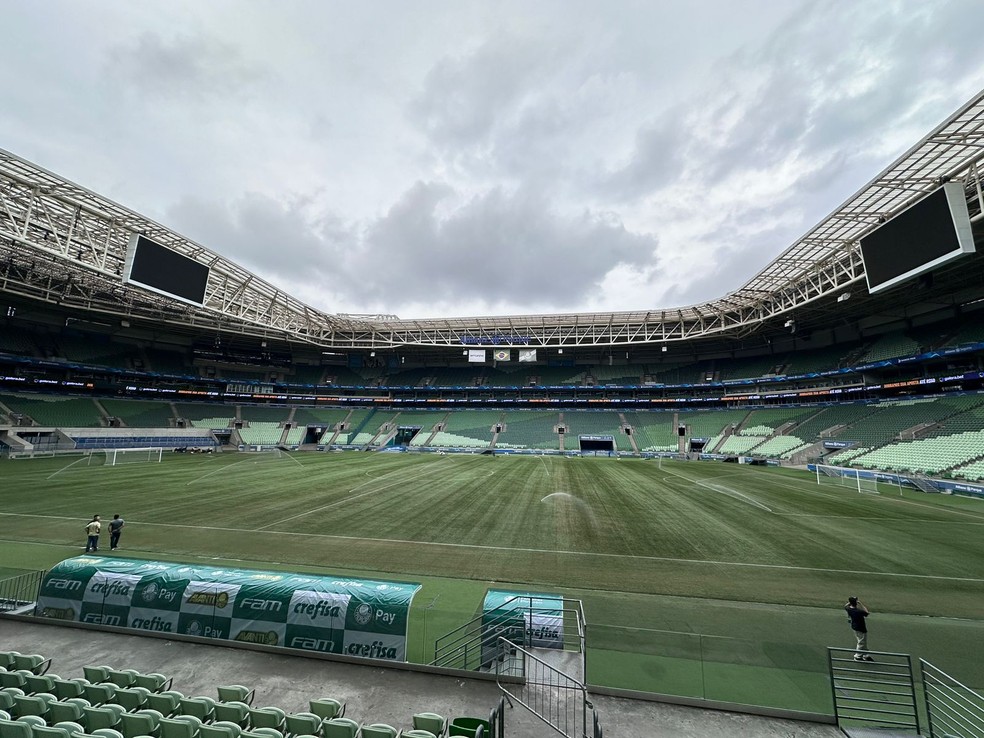Gramado do Allianz Parque, estádio do Palmeiras — Foto: Thiago Ferri