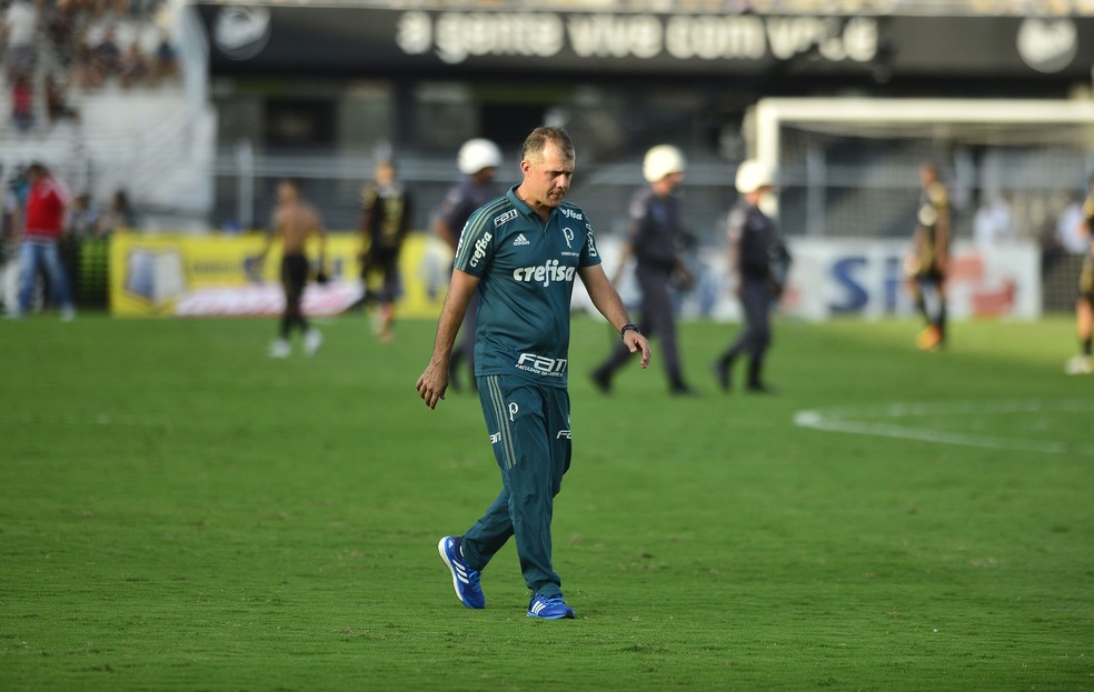 Técnico Eduardo Baptista no duelo entre Ponte Preta e Palmeiras — Foto: Marcos Ribolli