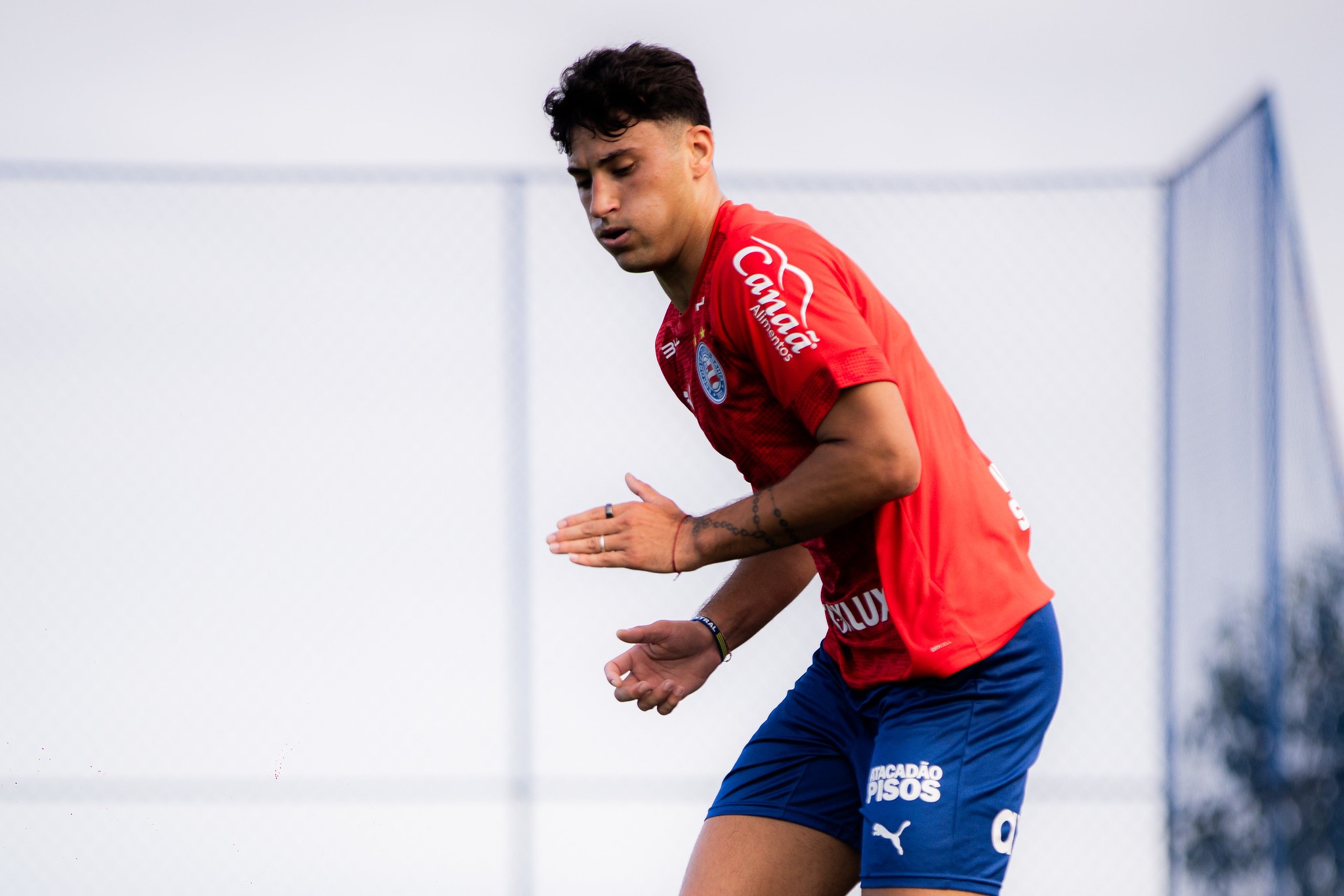 Ceni analisa reforços do Bahia e faz elogios a Alejo Véliz: "Jogador presente para fazer gol"