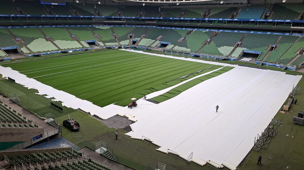 Novo gramado do Allianz Parque entra na fase final de instalação — Foto: Reprodução