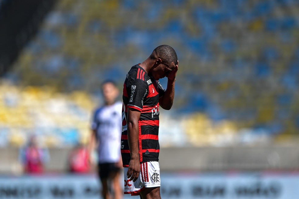 De La Cruz - BRASILEIRO A 2024, FLAMENGO x BOTAFOGO — Foto: Thiago Ribeiro/AGIF