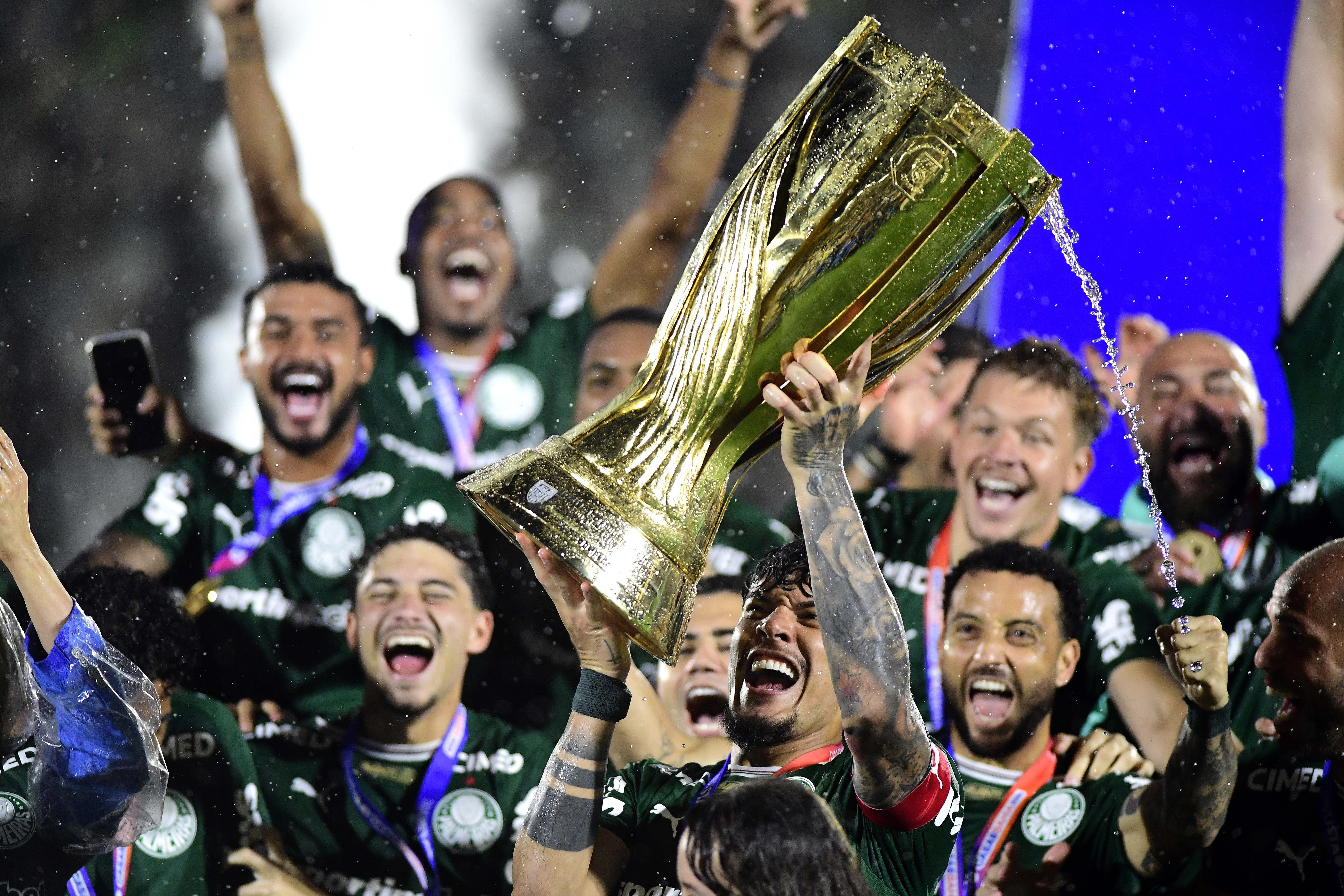 Palmeiras: A conquista do título revela um time mais maduro e com potencial para brilhar em 2026