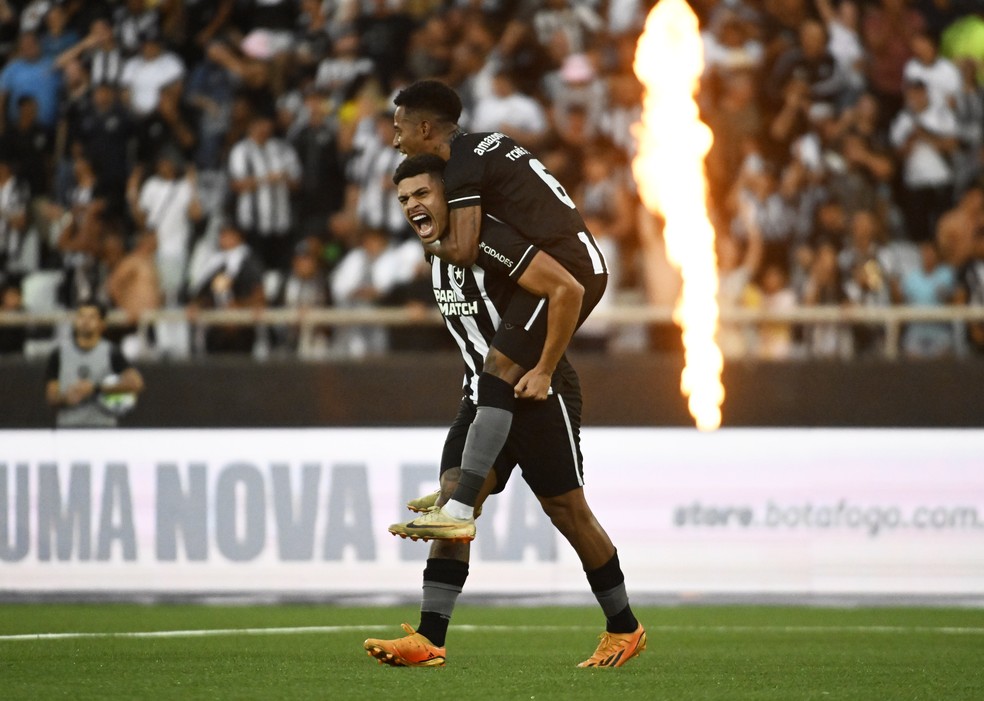 O líder disparou e entrega a taça! Confira os memes da vitória do Botafogo  sobre o Grêmio