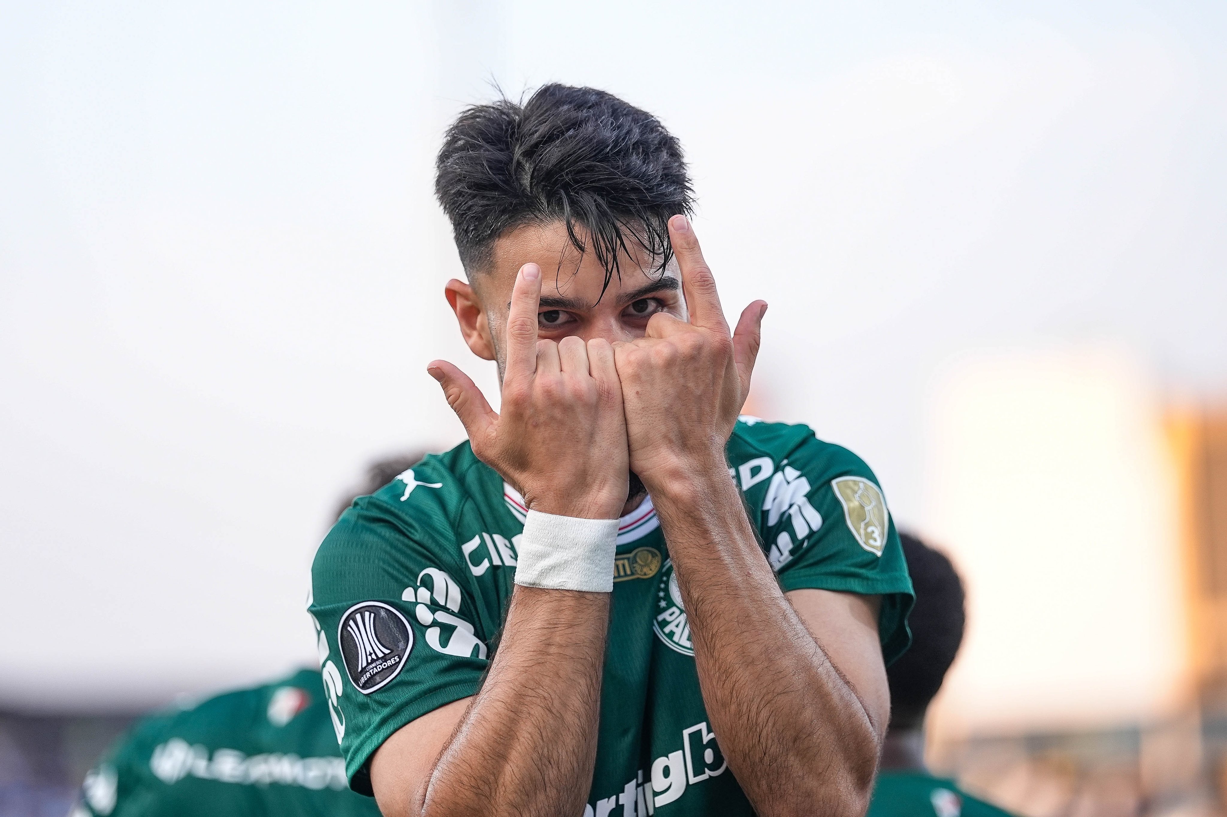 Palmeiras x Cruzeiro: todos os números e como aproveitar o duelo da #16 no Cartola