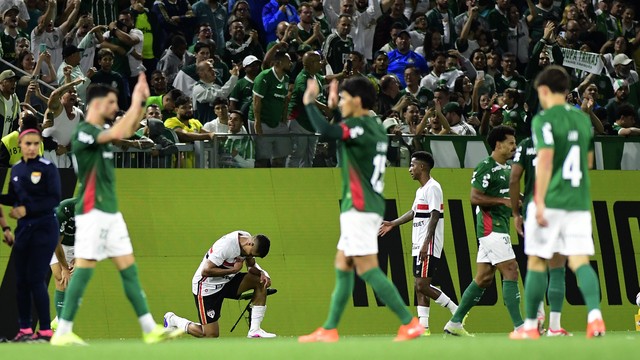 Palmeiras comemora vitória contra o São Paulo na semifinal do Campeonato Paulista