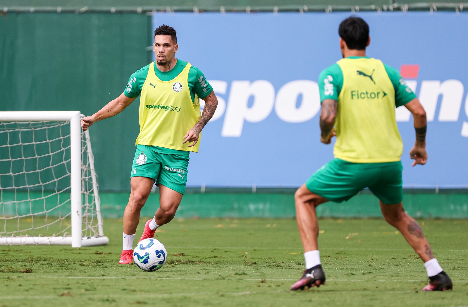 PALMEIRAS PROMETE GRANDES MUDANÇAS! Novos reforços e retornos marcam o início da temporada decisiva!