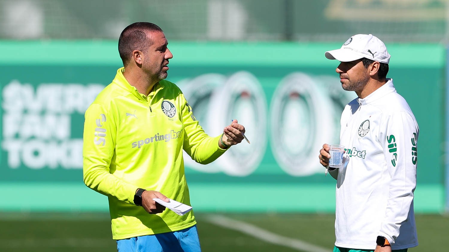 Palmeiras testa invencibilidade como visitante no Brasileirão com possível time reserva