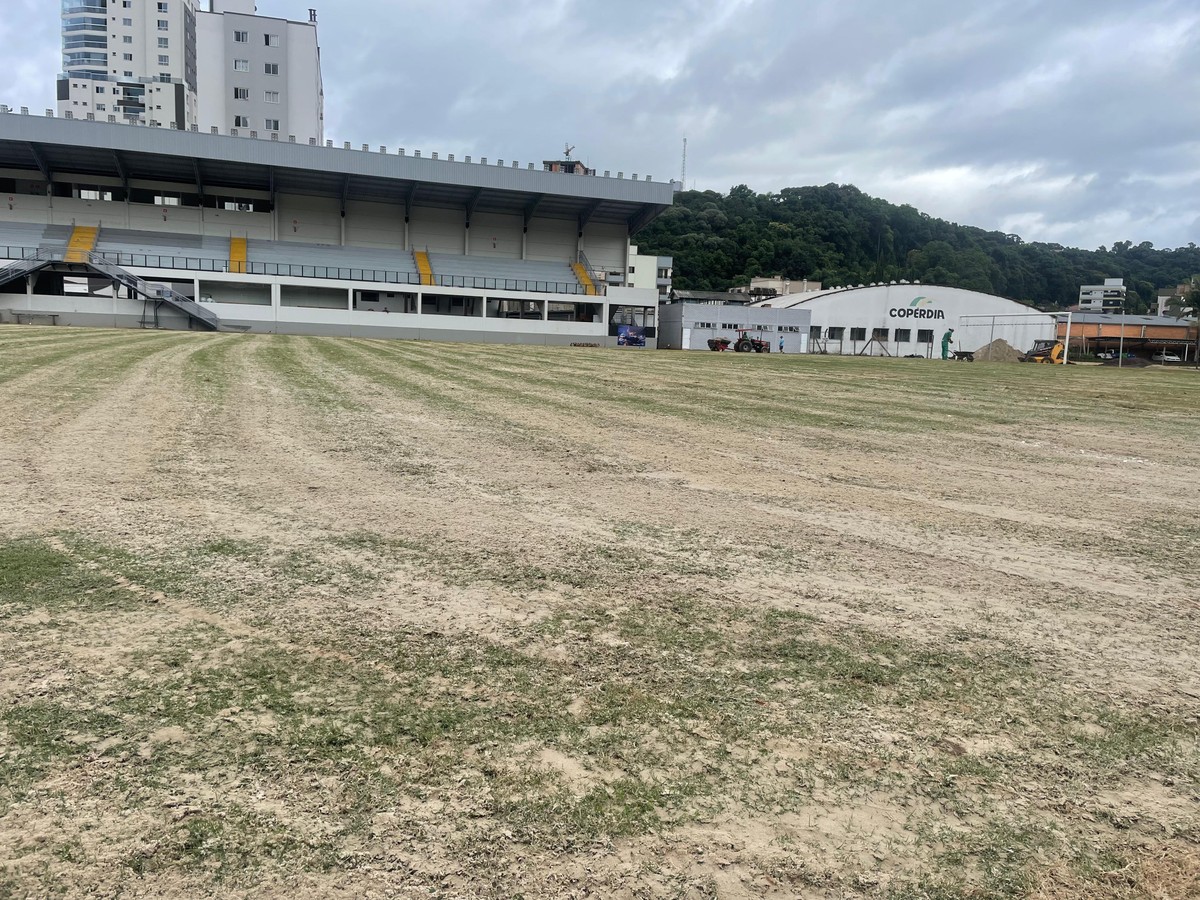Concórdia 2025 veja contratações, saídas e renovações concórdia ge
