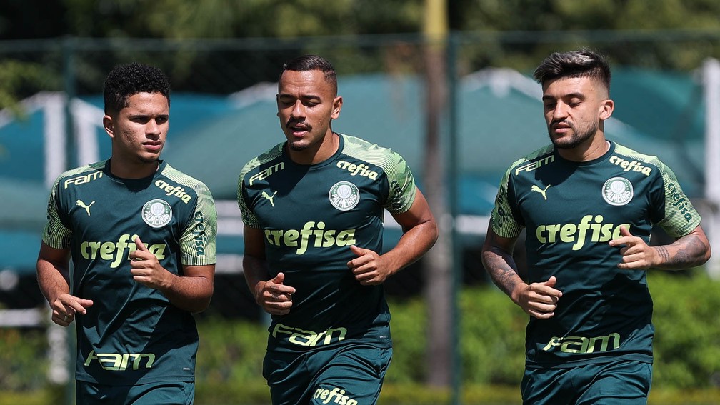 Palmeiras se reapresenta com treino técnico após classificação à