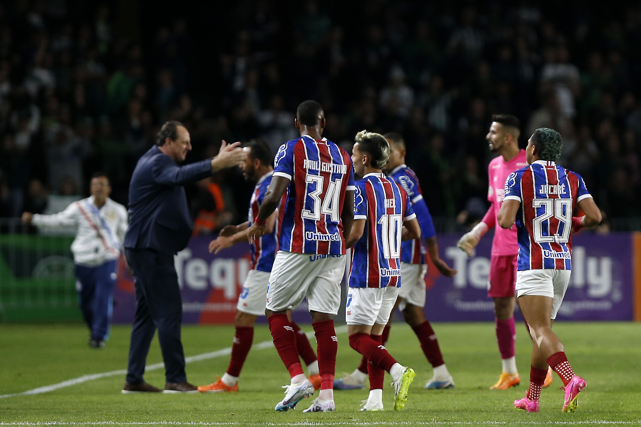 De esperança a pressionado, Rogério Ceni reencontra o Coritiba, rival na estreia pelo Bahia