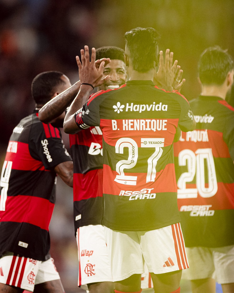 Royal recebeu carinho dos colegas em Flamengo x Sampaio Corrêa — Foto: Adriano Fontes/Flamengo
