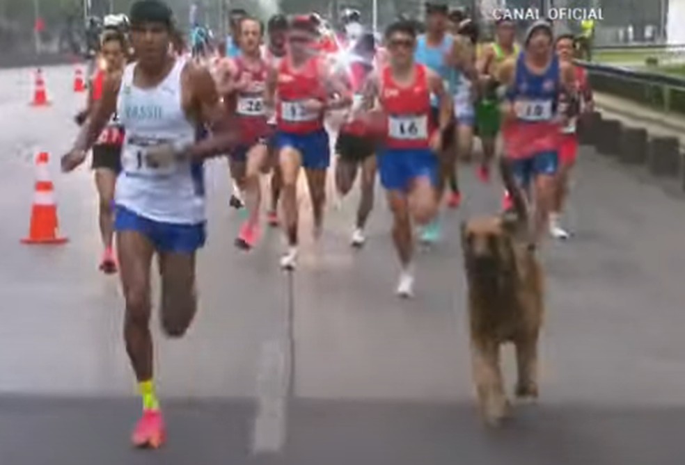 Cachorro invade percurso da maratona &mdash; Foto: Reprodu&ccedil;&atilde;o/Canal Ol&iacute;mpico do Brasil