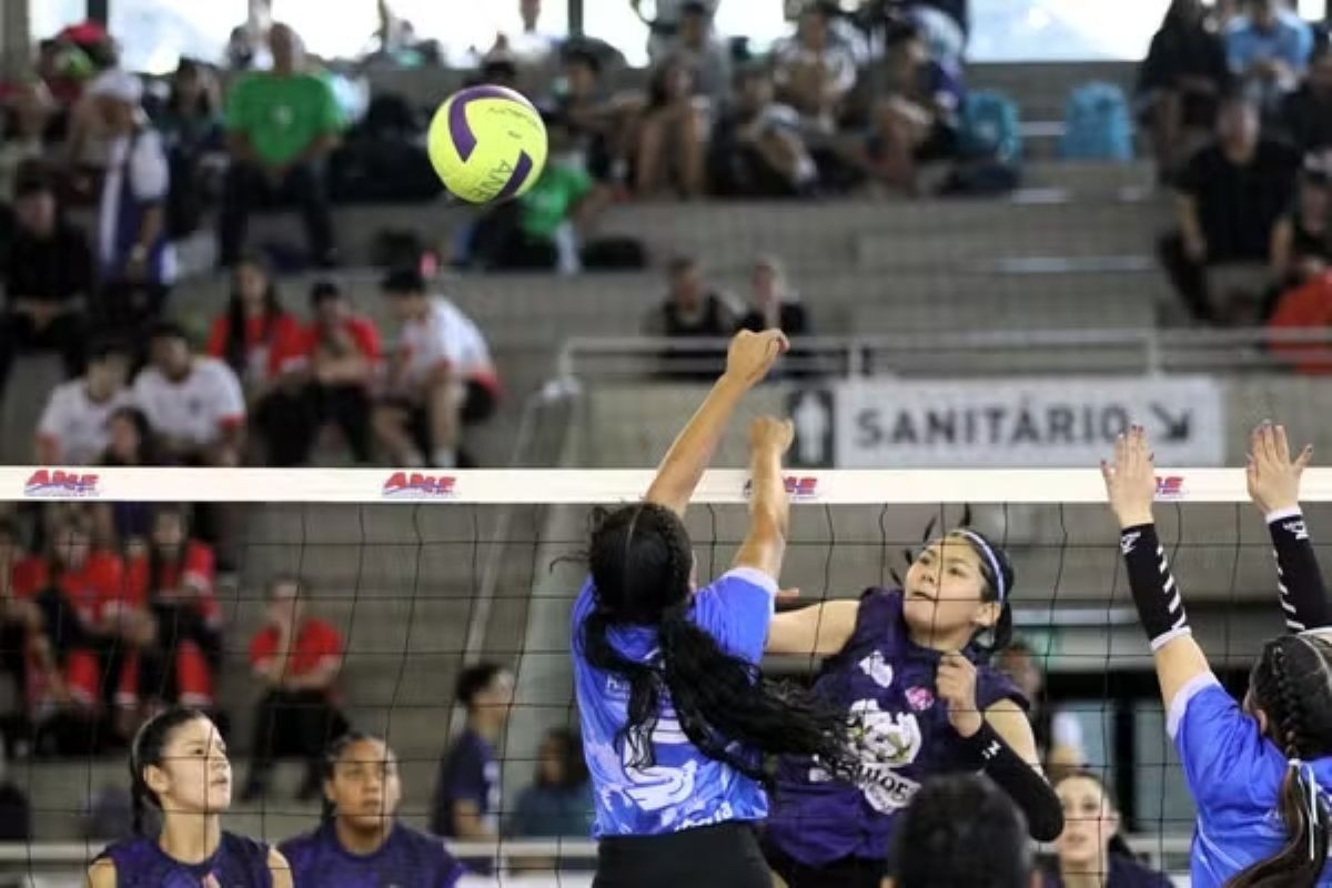 Copa TV Tribuna de Voleibol Escolar abre inscrições para 10ª edição