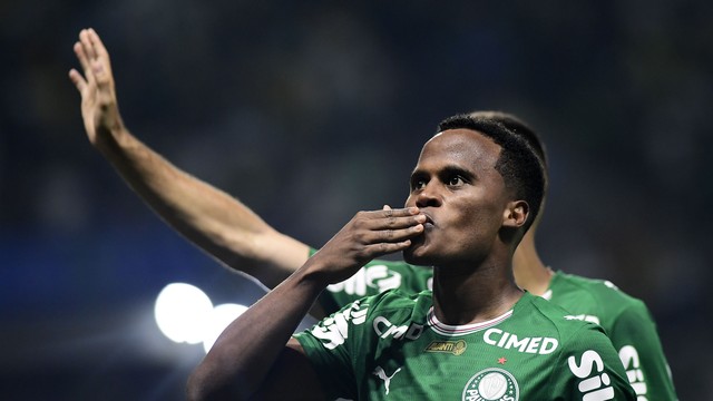 Palmeiras x Botafogo gol Arias