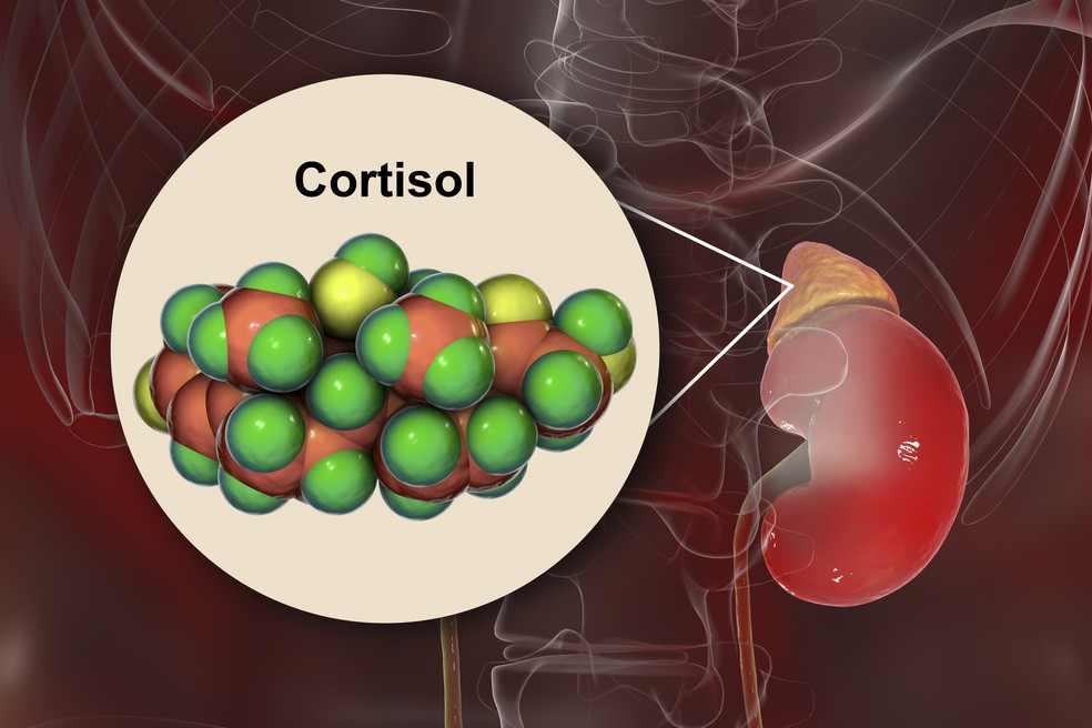 Cortisol: o que &eacute; e quais os efeitos no corpo | sa&uacute;de | ge