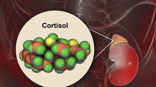 Cortisol: o que é e quais os efeitos no corpo