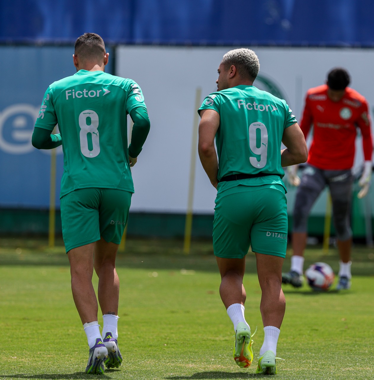 Vitor Roque avança em recuperação e pode reforçar Palmeiras no clássico contra o Santos