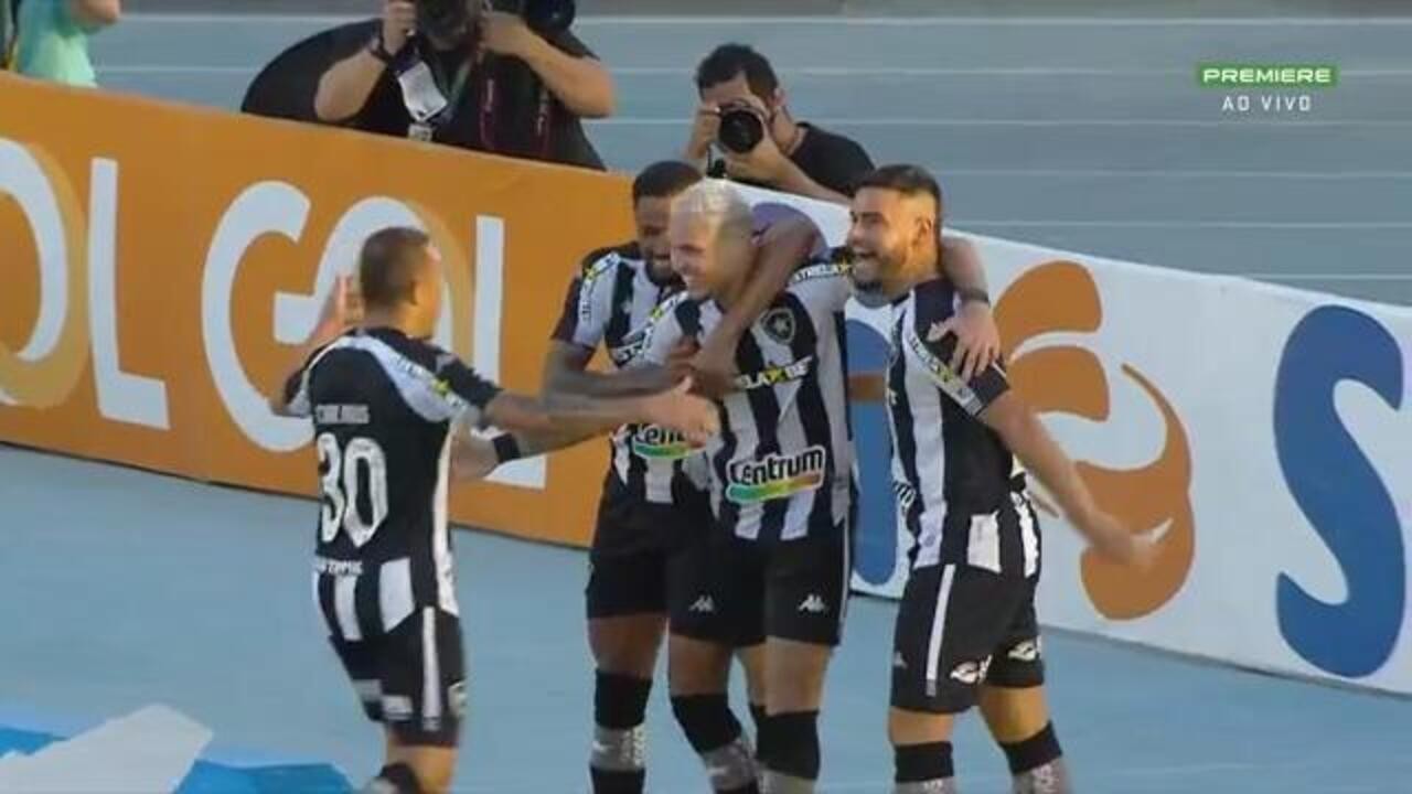 Botafogo 2x1 Operário-PR: veja os gols e os melhores momentos da 36ª ...
