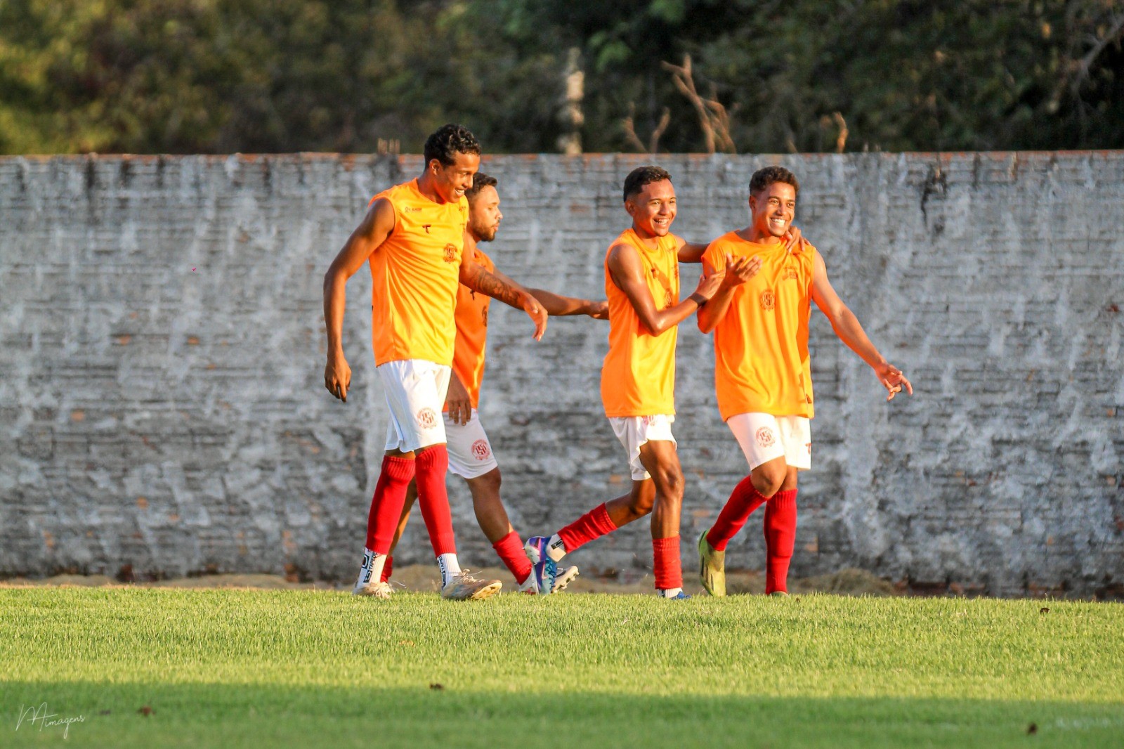 imagem