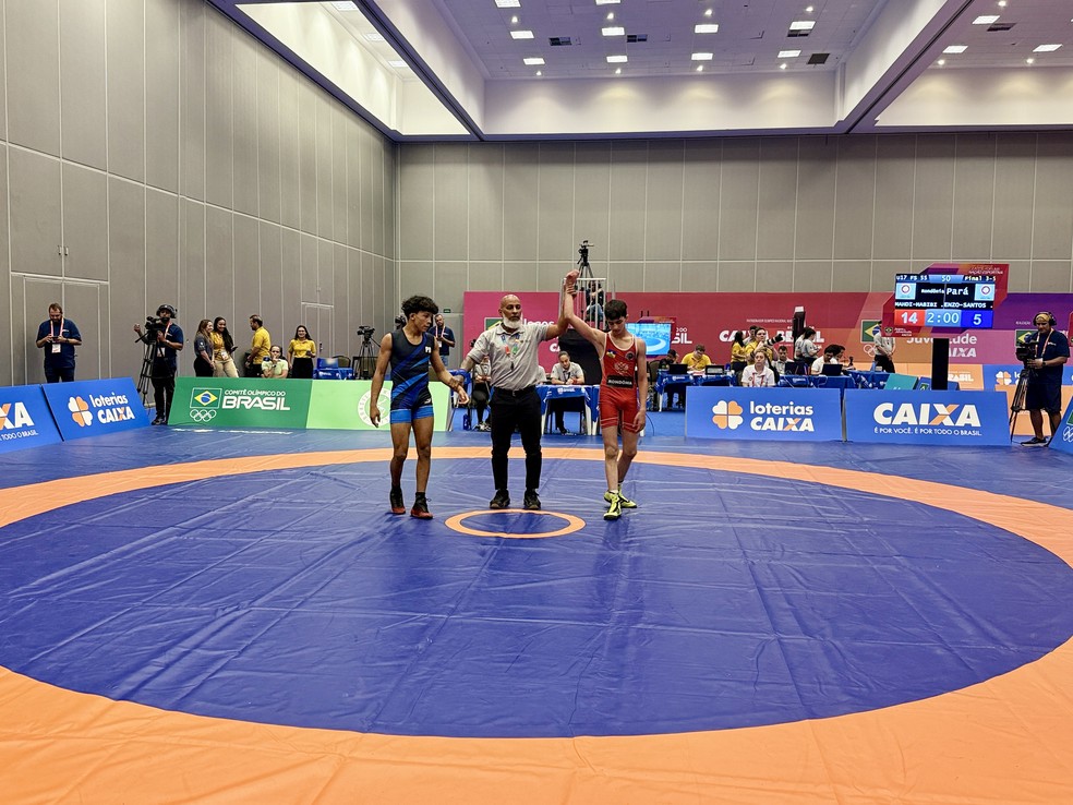 Os irmãos Mahdi Rabibi, de 14 anos, e Amir Abdollahzadeh, de 16, conquistaram medalhas de bronze na modalidade wrestling, em Brasília. — Foto: Reprodução/SEDUC