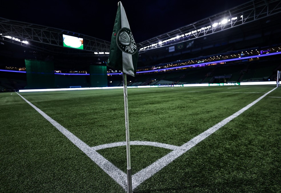 Gramado do Allianz Parque recebe manutenção após término da temporada  — Foto: Fabio Giannelli/AGIF