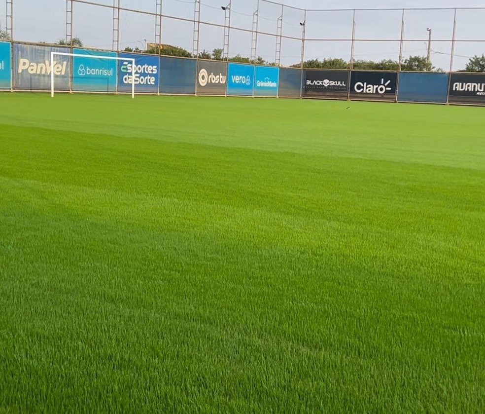 CT Luiz Carvalho 12 de junho — Foto: Grêmio/Divulgação