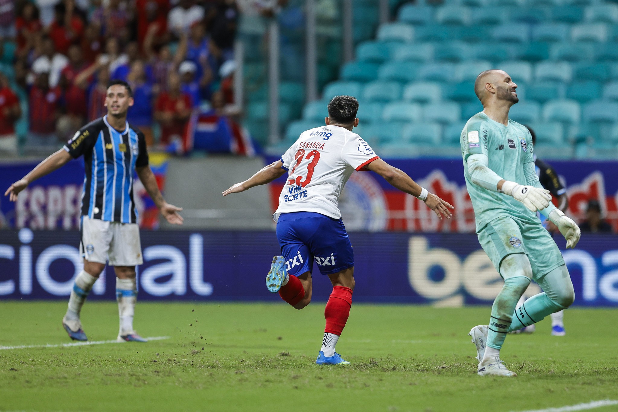 imagem