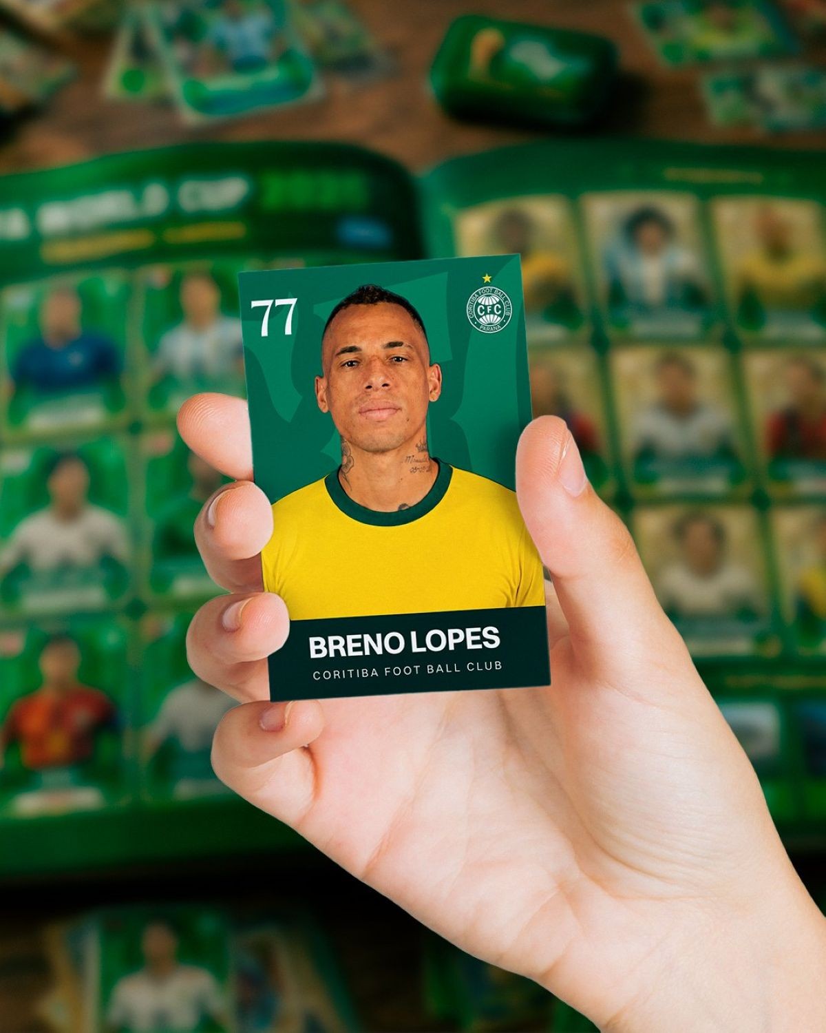 imagem