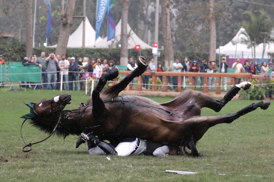 O Cavaleiro No Cavalo Pulando Sobre Obstáculos Foto Royalty Free
