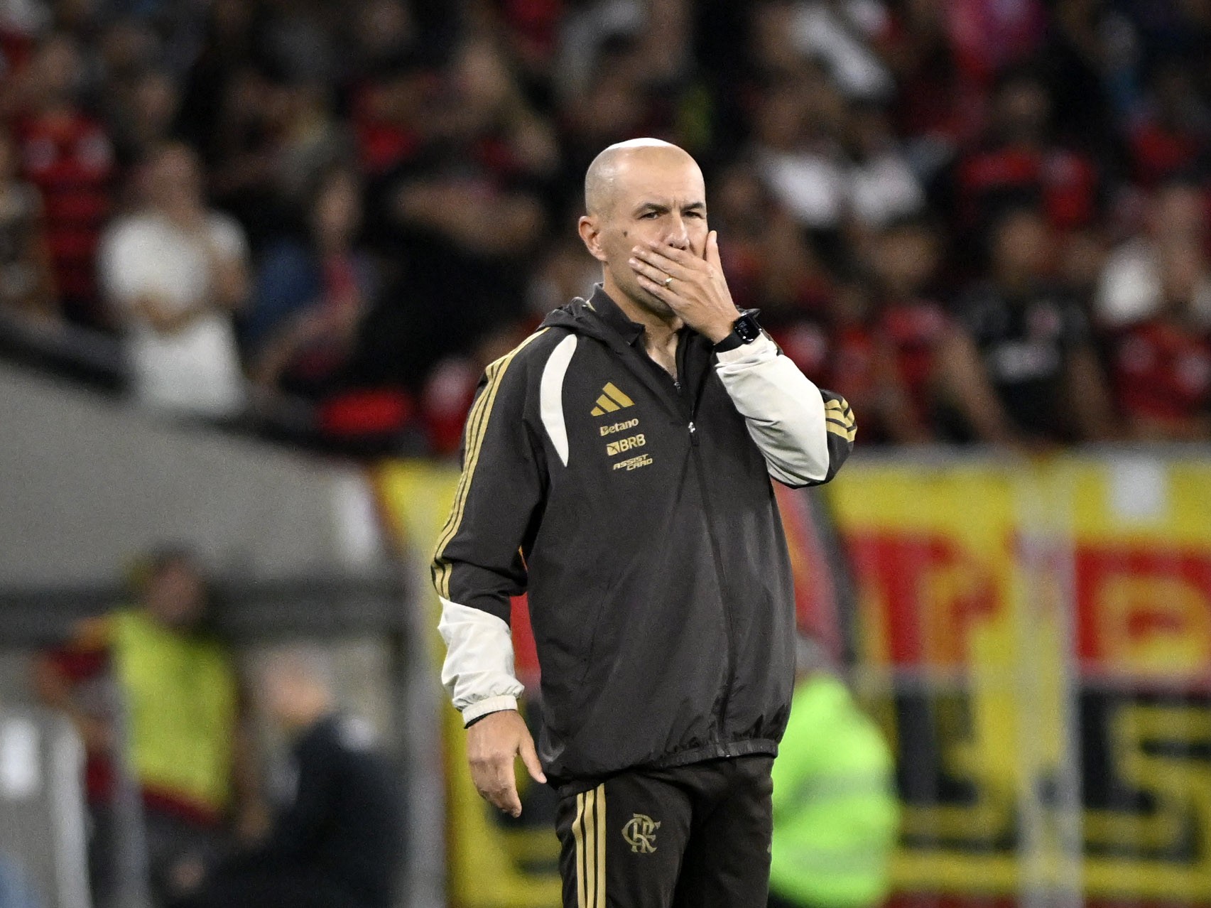 Flamengo na Libertadores: Jardim exalta melhor campanha histórica | Ge