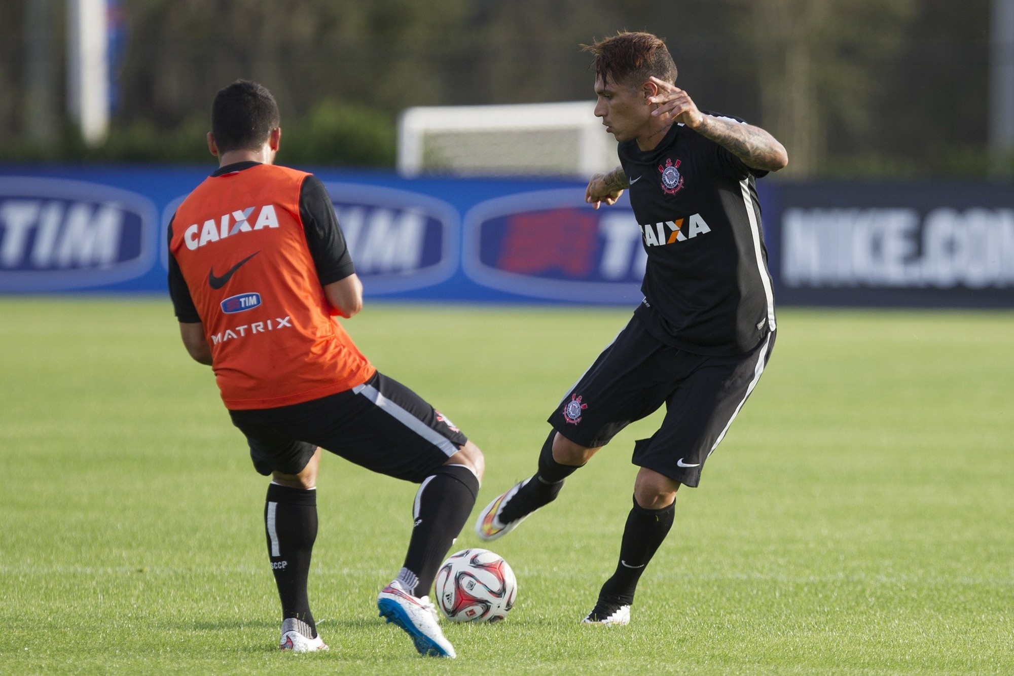 GloboEsporte.com > Futebol > Palmeiras - NOTÍCIAS - Roque Júnior faz  trabalho especial em Atibaia para melhorar o entrosamento