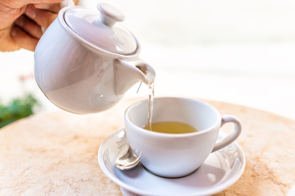 Cardo-mariano: o que é, para que serve e como fazer o chá - Tua Saúde