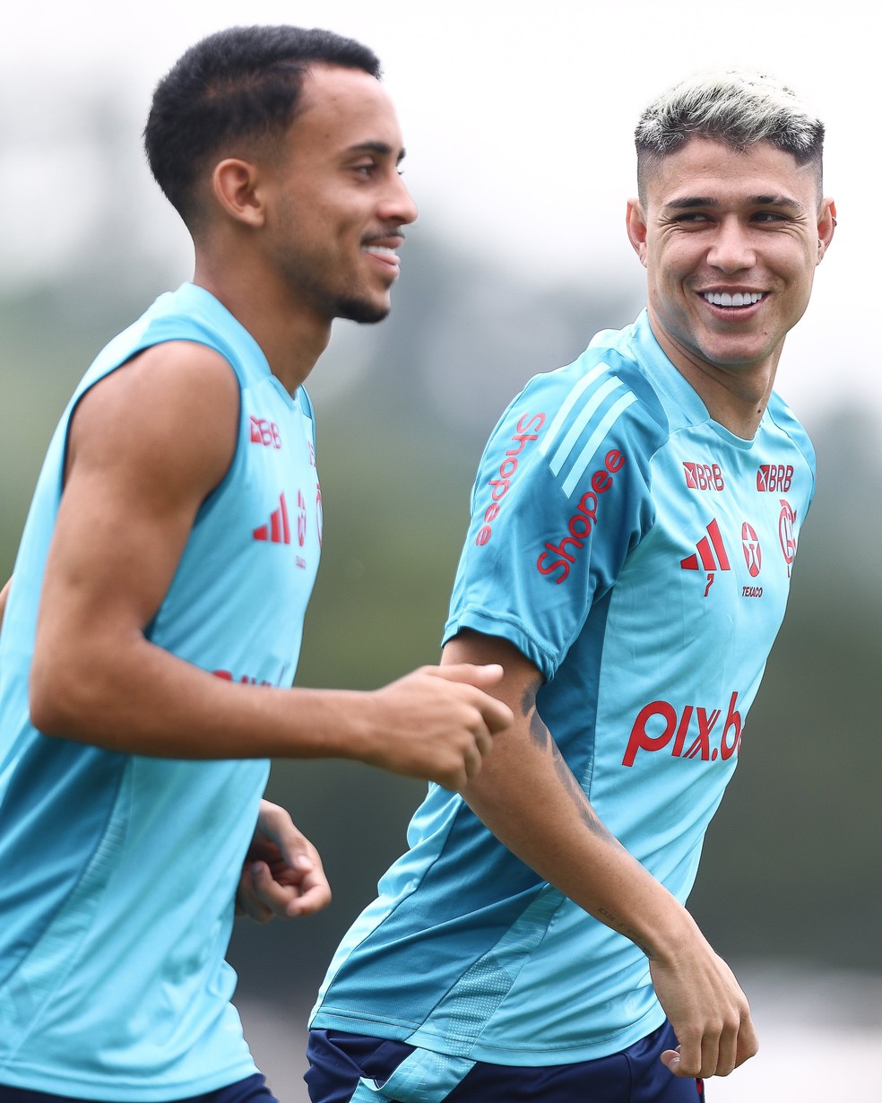 Matheus Gonçalves e Luiz Araújo em treino do Flamengo — Foto: Gilvan de Souza / CRF