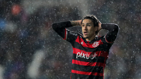 Fora da temporada, Pedro, do Flamengo, finaliza ano com 30 gols; veja quem pode alcançar