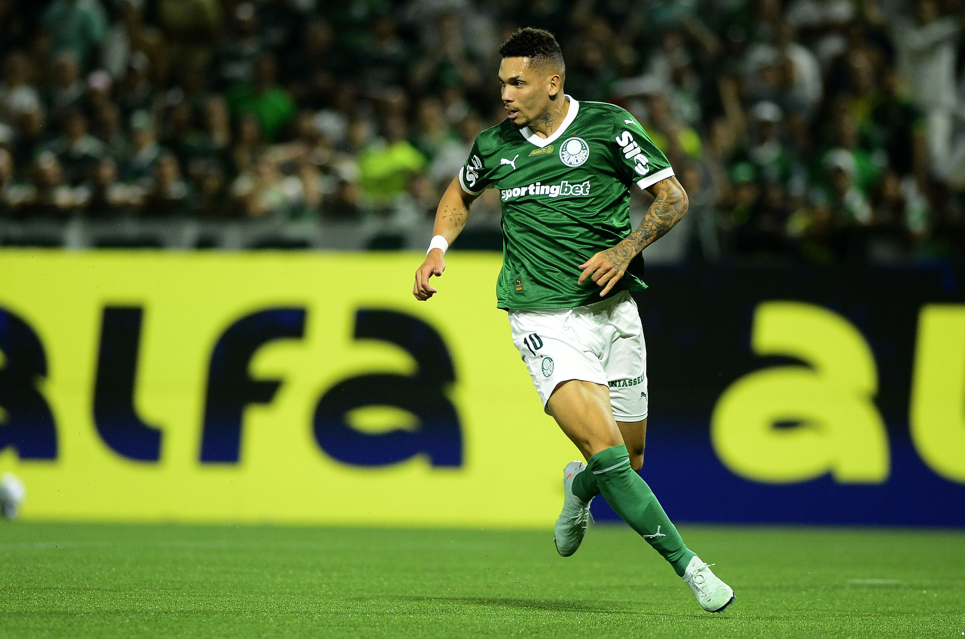Paulinho impressiona em estreia pelo Palmeiras e intensifica disputa no ataque