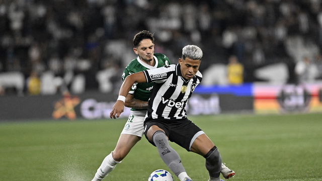 Matheus Martins em Botafogo x Palmeiras