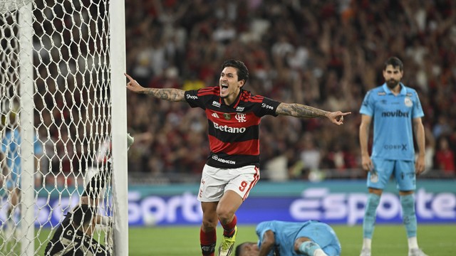 Pedro comemora gol do Flamengo contra o Santos