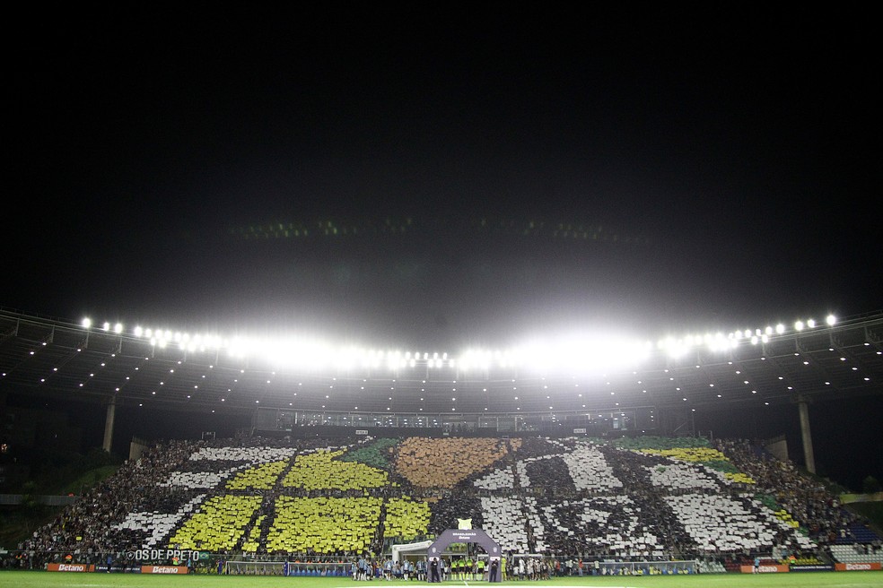 Mosaico da torcida do Botafogo em Cariacica — Foto: Vitor Silva/Botafogo