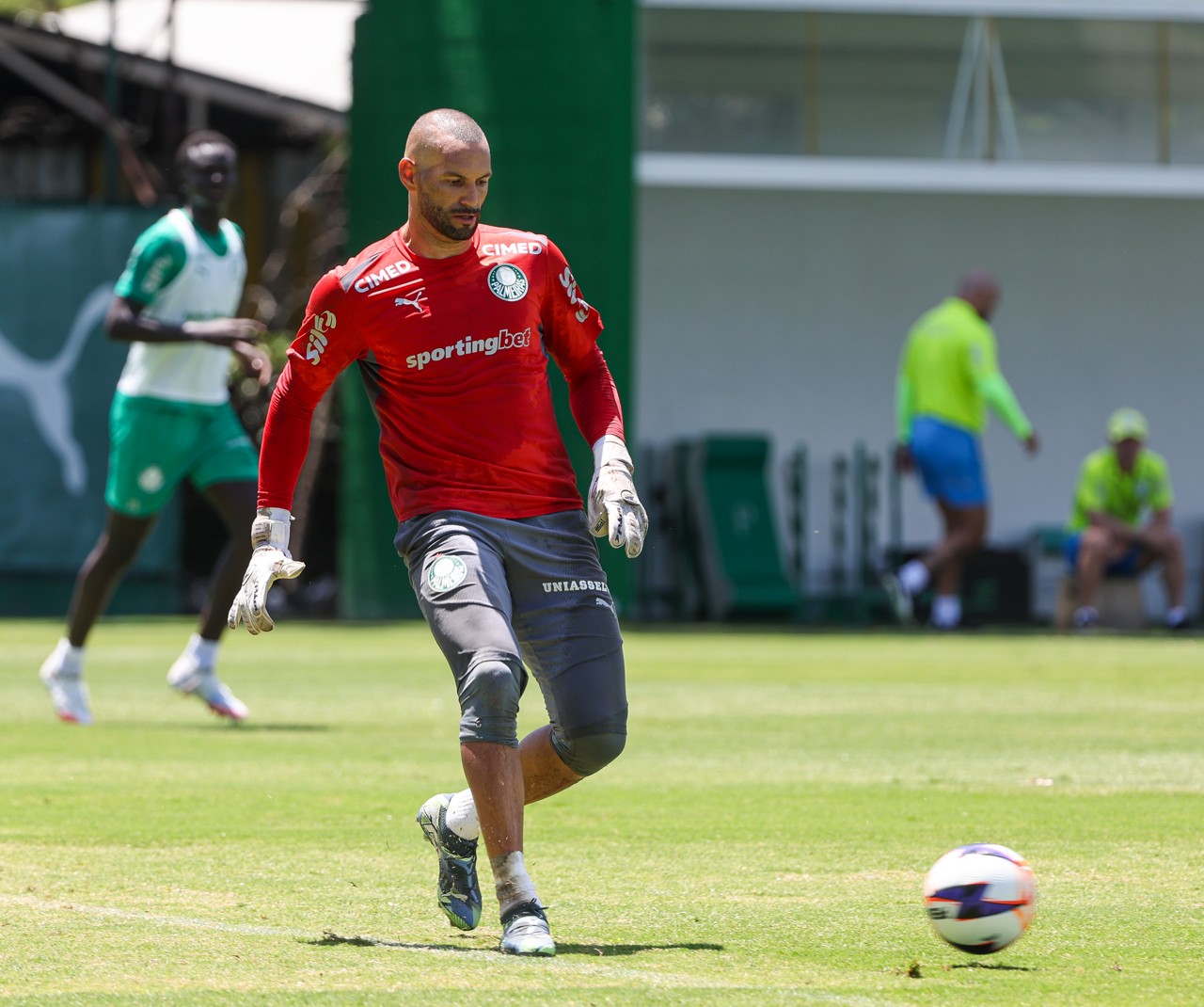 Palmeiras libera Weverton para assinar com o Grêmio | Ge