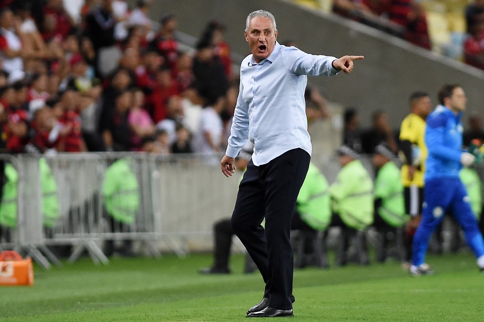 Tite comanda Flamengo contra Palmeiras — Foto: Alexandre Durão
